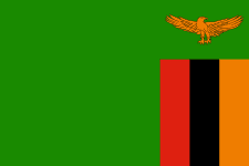 Flag Zambie